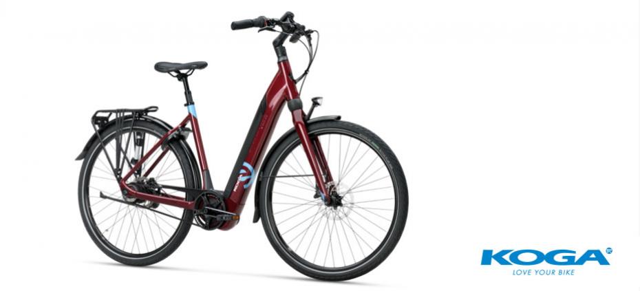 Electrische Fietsen